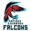 Falcons