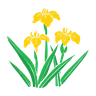 Glamorgan