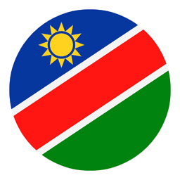 NAM-A Logo