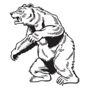 Bears