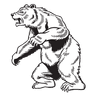 Bears