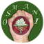 OSM