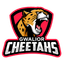 GC