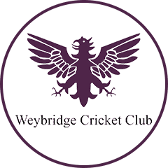 WEY Logo