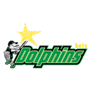 Dolphins