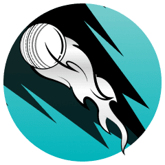 Heat Logo