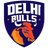 Delhi Bulls