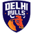 Delhi Bulls