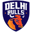 Delhi Bulls
