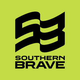 Brave Logo