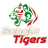 Bangla Tiger