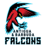 Falcons