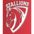 Stallions (Pakistan)