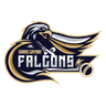 Falcons